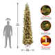 The Holiday Aisle® Carolina Pine Slim Tree with Clear Lights