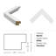 Palm Fans 1 Print