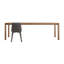 Second Best Dining Table-61654149