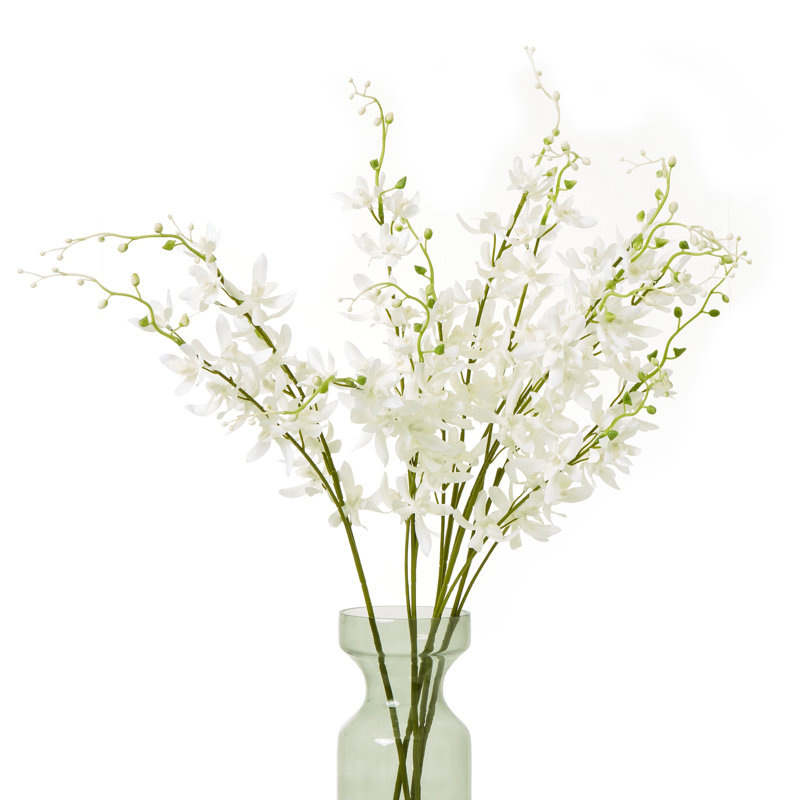 Anastasija Arrangement, White