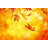 Colorful Autumn by Borchee - No Frame Print on Canvas-1411544241