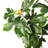 Artificial Potted Fig Tree-27703834