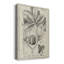 Impression sur toile antique antique botanique VI-270173733