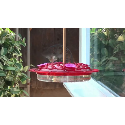 Krohn Hummingbird Feeder