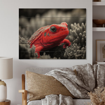 Red Underwater Creature - Animal Fish Print