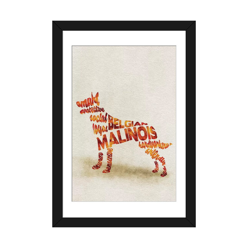 « belge malinois » par ayse deniz akerman, impression sur toile tendue, H 24 po x l 16 po x P 1 po, Papier d'art encadré noir