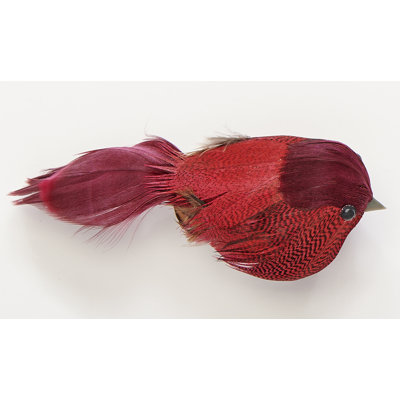 Oiseau à plumes 3 po avec pince en métal, rouge, ensemble de 6