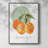 Orange Framed Print - Solid Wood-779985699
