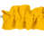 Marigold