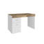 Billitteri Computer Desk-470119516