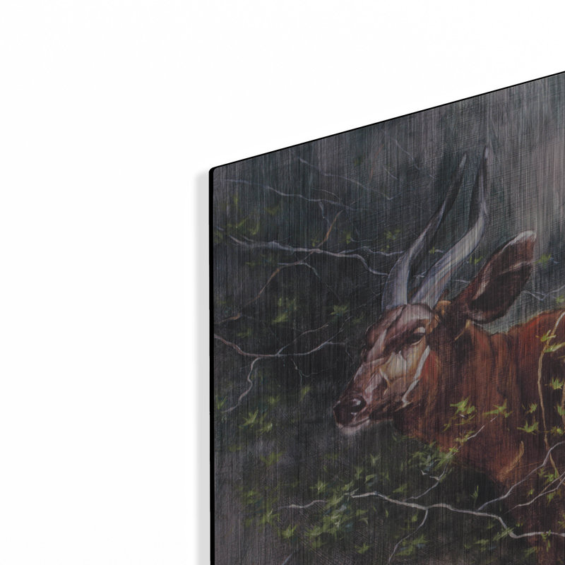«Bongo In The Brush» par Robert Campbell, H 24 po x l 24 po