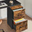 41 cm W 2 -Drawer Filing Cabinet