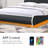 Kealani Upholstered Bed-1577021894