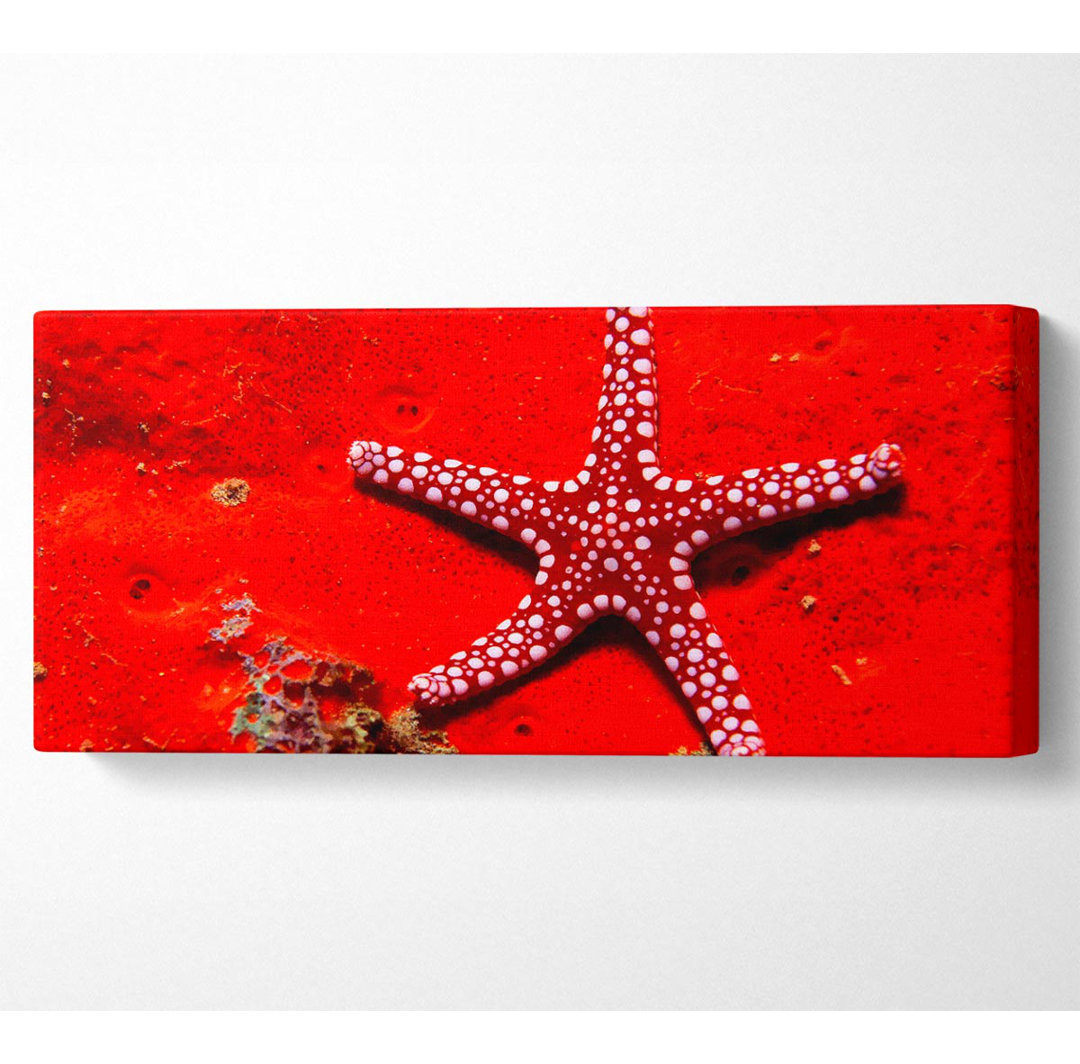 Roter Seestern - Kunstdrucke auf Leinwand - Wrapped Canvas