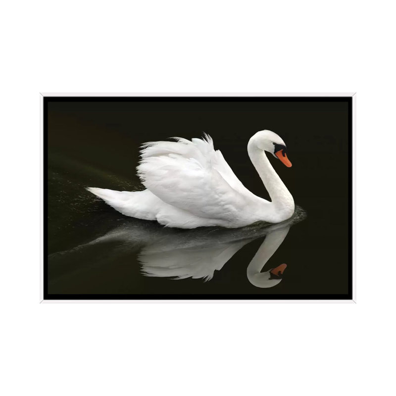 « Swan » par Ben Heine-reproduction de photo, Pas de tapis, H 18 po x l 26 po x P 1,5 po, Toile blanche encadrée