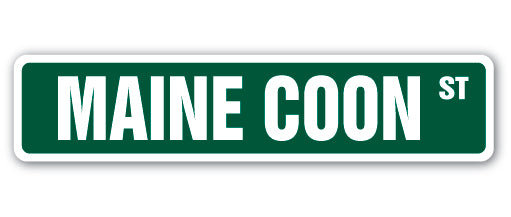 Plaque de rue Maine Coon en plastique robuste 4 po x 18 po