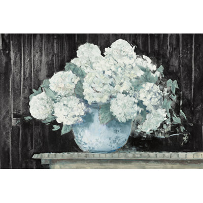 Hortensia blanc sur fond noir