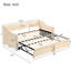 Lit de jour simple beige avec lit gigogne escamotable - Lit multifonctionnel pour toute occasion-667602913
