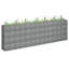 Jardinière surélevée Gabion-243988636