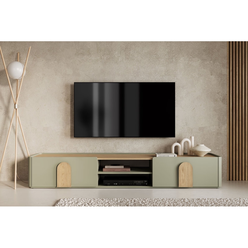 Sadeen TV Stand for TVs up to 77", Green/Brown