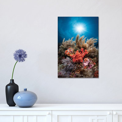 Underwater Life by Barathieu Gabriel - Print on Canvas