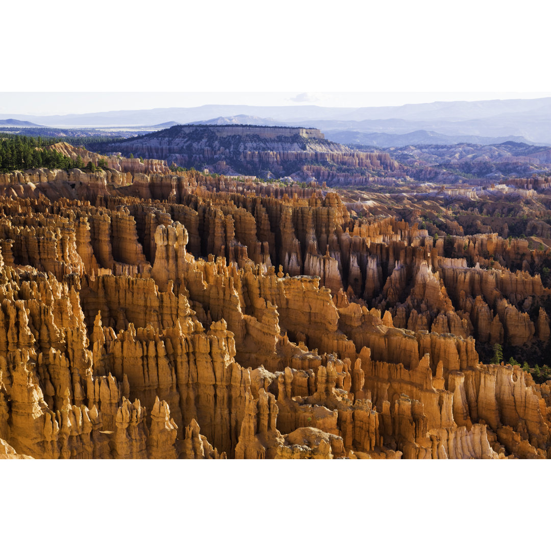 Bryce Canyon National Park von Dszc - Kunstdrucke auf Leinwand