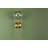 Ophelia 1 Light Wall Sconce