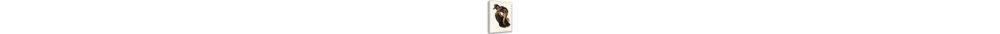 Gould, John Gallery Wrapped Canvas Art: One, carunculated Cassowary, Casuarius uniappendiculatus-549041036
