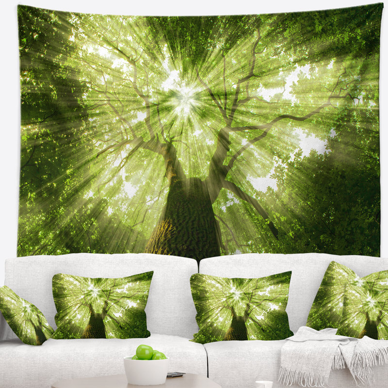 Paysage, soleil levant à travers une tapisserie d'arbre vert, H 78 po x l 92 po