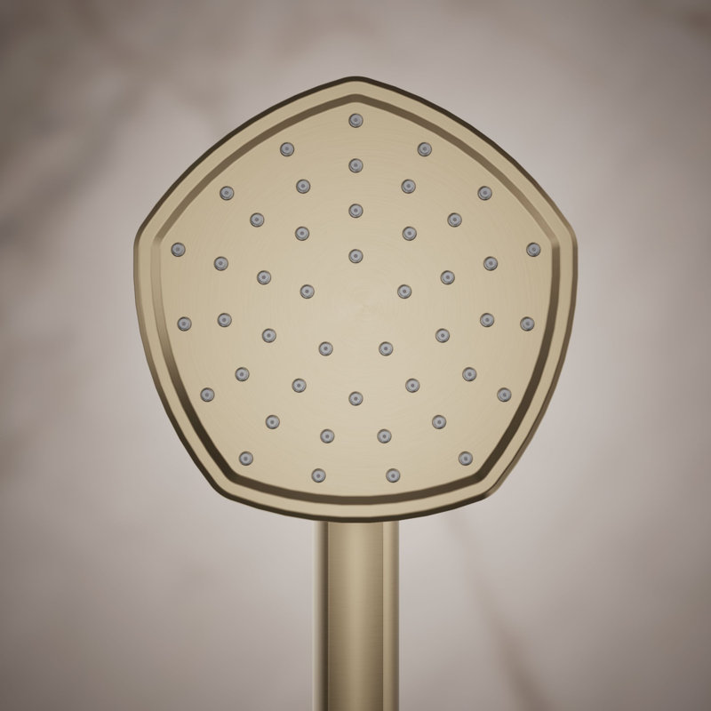 Occasion Single-Function 2.5 Gpm Handshower, Vibrant Brushed Bronze