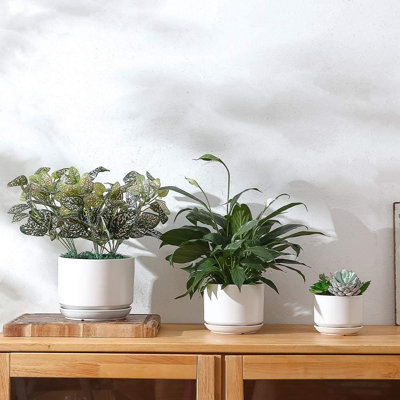 Ceramic Planter