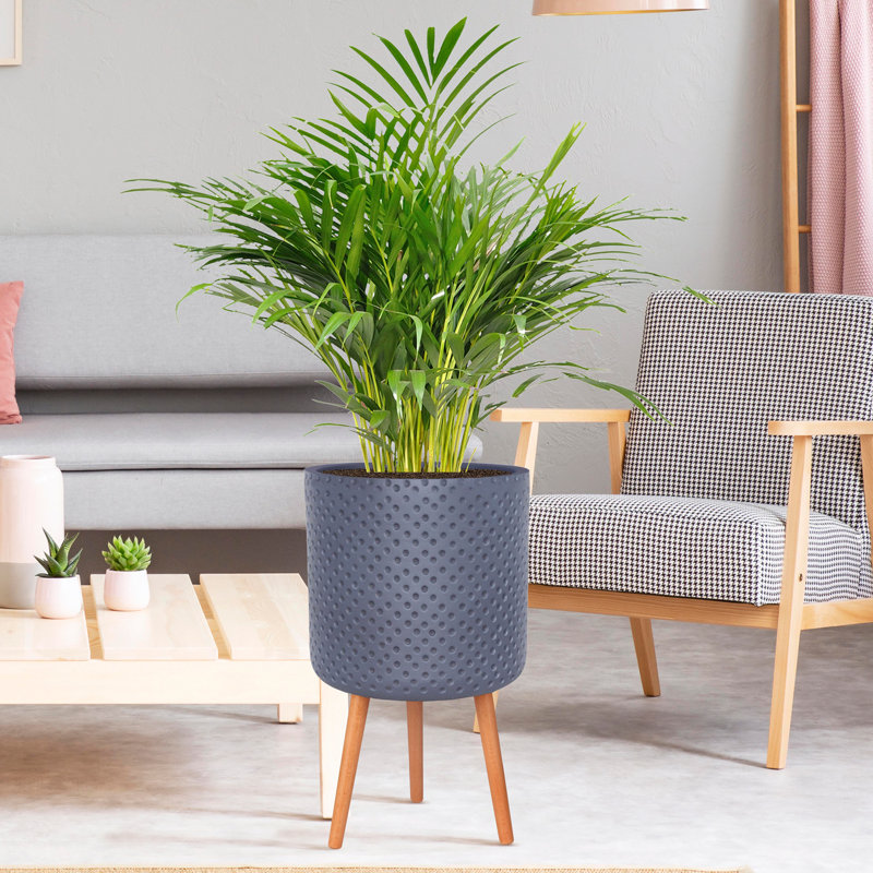 Dotted Style Cylinder Planter with Feet Concrete Effect Cylinder Round Planter on Hardwood Legs, Round Indoor Plant Pot Stand for Indoor Plants, Indoor Flower Pot with Dotted Pattern