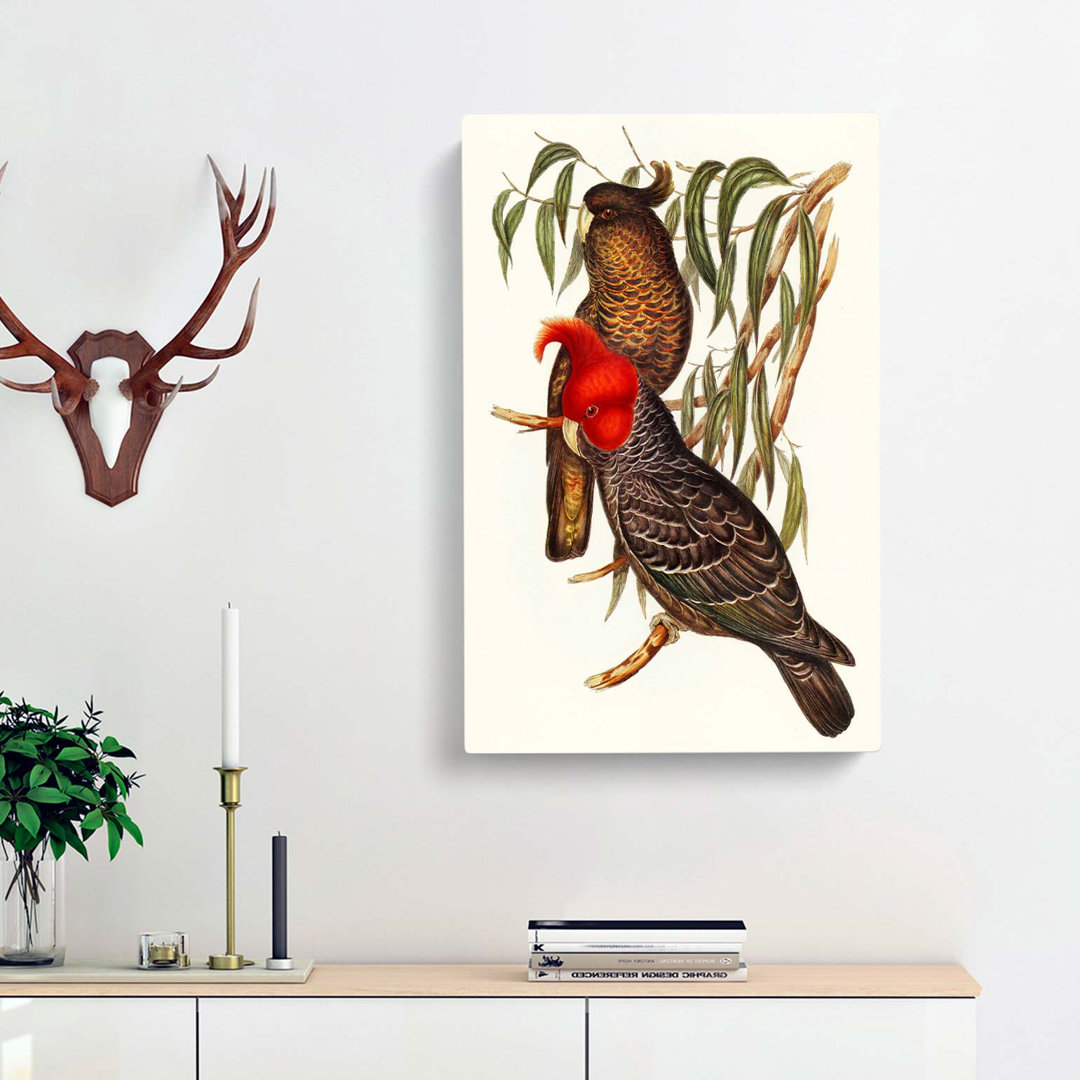 Gang-Gang Cockatoos by Elizabeth Gould - Wrapped Canvas