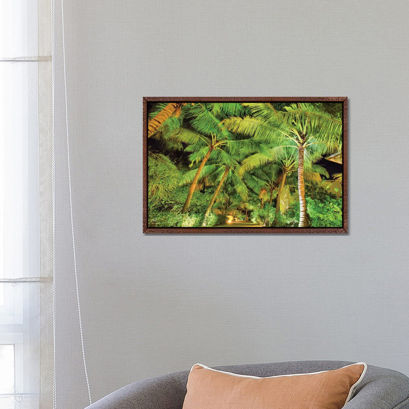 Palm Tree Path by Mark Paulda - Print on Canvas, 45.72cm H x 66.04cm W x 3.81cm D, Classic Brown Wood Floater Framed