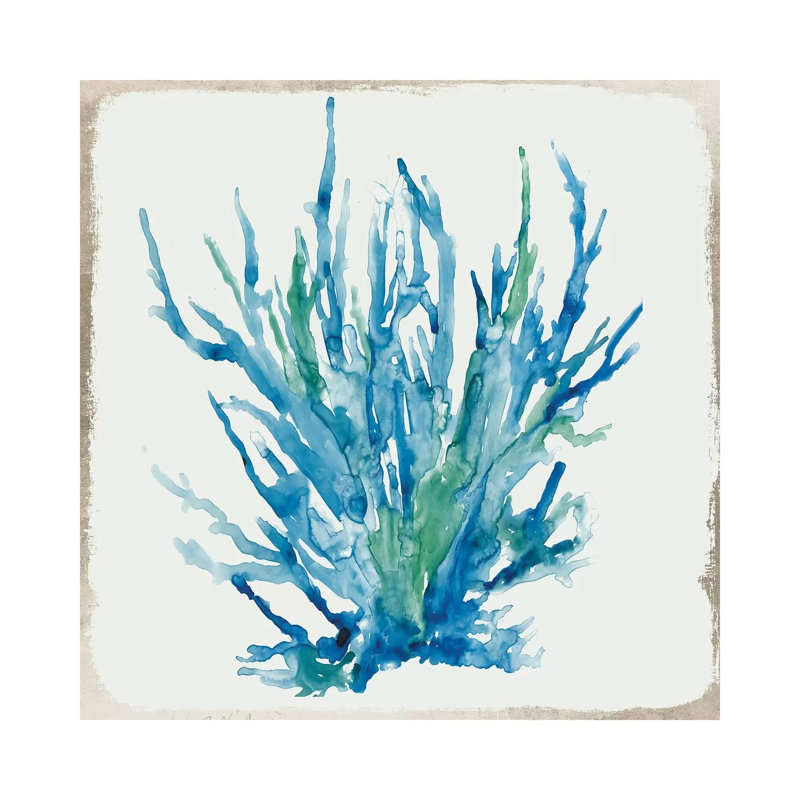 Blue Coral IV by Aimee Wilson - Wrapped Canvas Painting, 30.48 cm H x 30.48 cm W