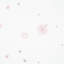 Schumacher x Porter Teleo Stellar Wallpaper-59158847