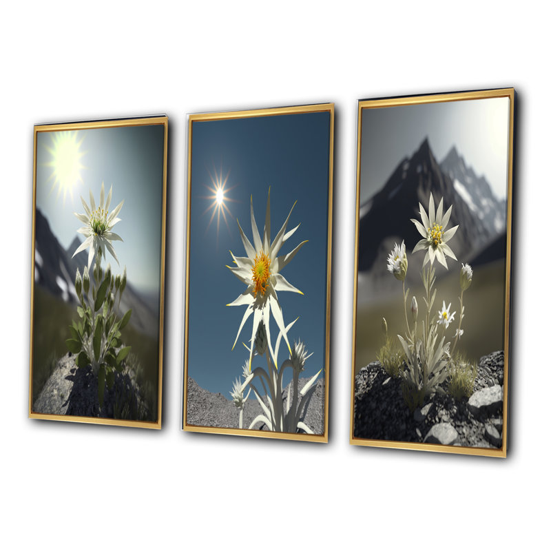 «Blossoming Edelweiss Flower Under Sun», 3 pièces, Cadre flottant doré, H 40 po x l 60 po