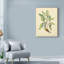 «Bird and Botanical V», reproduction sur toile tendue-33519820