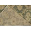 Pasha Hand Knotted Wool Area Rug
