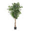Ficus artificiel Deso, feuilles vertes avec tronc torsadé, 71 pouces