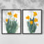 «Daffodil Bunch I», reproduction encadrée de qualité supérieure - prête à être accrochée - aucun clou requis - aucun clou requis-107998304-107998303