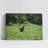 Kangaroos on Meadow-566252477