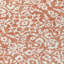 Tapis Condol-109582811