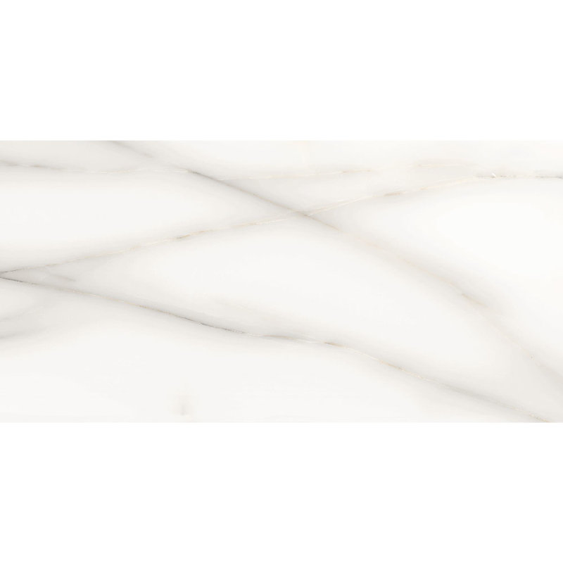 Onix White 24" x 48" Porcelain Marble Look Wall & Floor Natural Glossy Tile