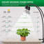 Naomi Grow Light