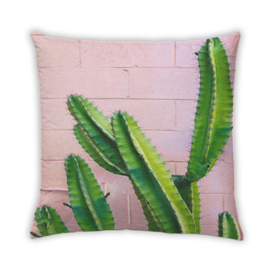 Coussin Plants Cactus 30