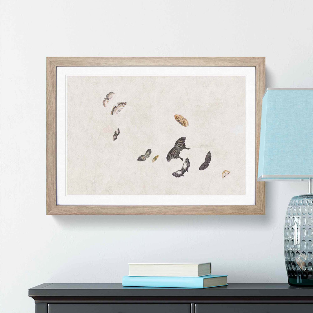 Collection of Butterflies by Shibata Zeshin - Picture Frame Painting
