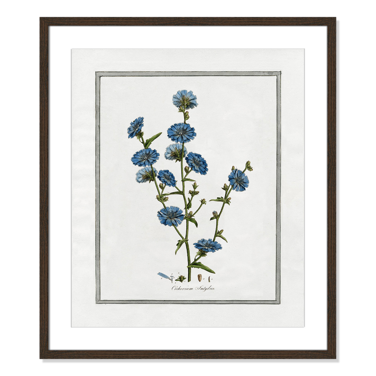 Colombe "Soft Botanical I" Print, 21.5" W x 25.5" H, Walnut Framed