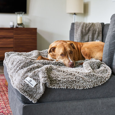 Couverture pour animaux de compagnie Pet Parents®