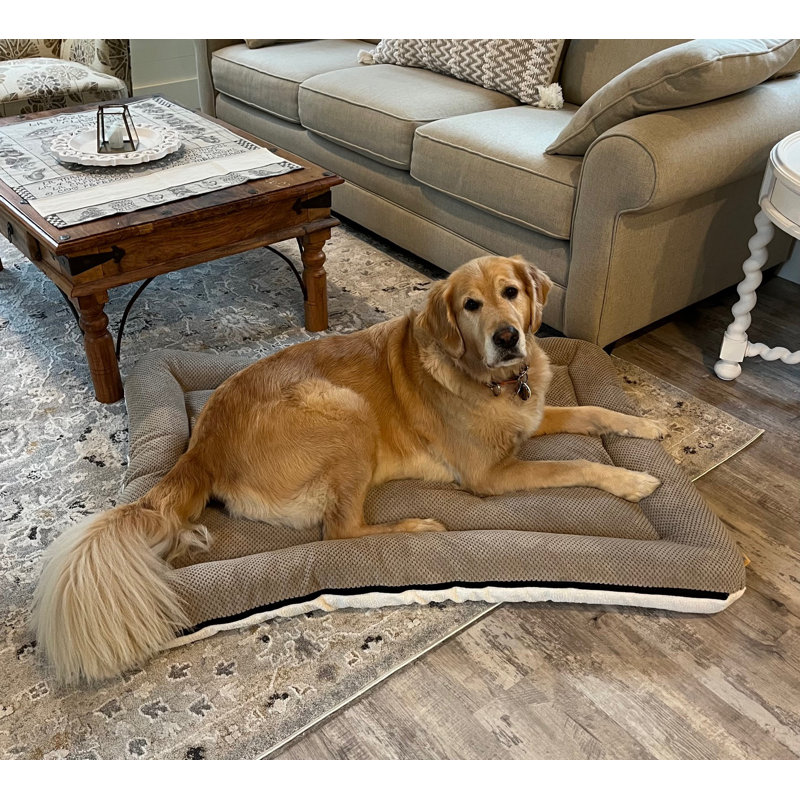 Lit pour chien et chat en microsuède réversible ivoire All Day with Cloud 9, H 5 po x l 26 po x P 20 po, Sable marmotte